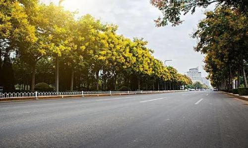 Not many cars slow down domestic traffic, experts: no one can move these “three big mountains”