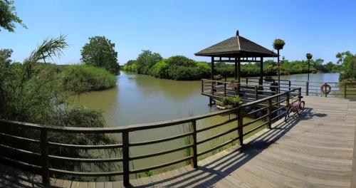 The largest park in Guangzhou, equivalent to 7.7 Yuexiu parks, with a good environment suitable for elderly and children to play.

