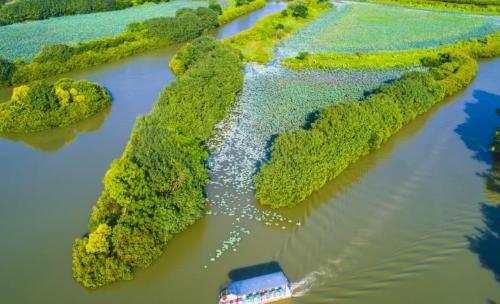 The largest park in Guangzhou, equivalent to 7.7 Yuexiu parks, with a good environment suitable for elderly and children to play.

