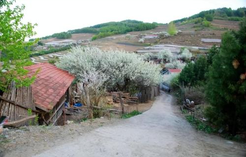 In a village deep in mountains of Jilin, everyone speaks Shandong, but children do not know where their hometown is.