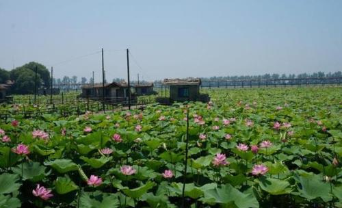 4 billionaires were born in this invisible wealthy city in Hubei province, but they are too reserved to find a strategy