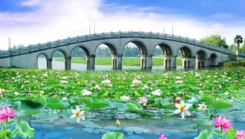 4 billionaires were born in this invisible wealthy city in Hubei province, but they are too reserved to find a strategy