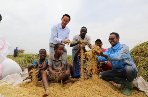 Are Africans who can't get enough so focused on growing sesame instead of rice, corn and other crops?

