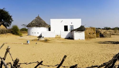The first village in Chinese desert was discovered thanks to construction of a desert road Villagers do not know what year and month it is