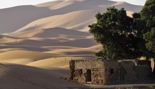 The first village in Chinese desert was discovered thanks to construction of a desert road Villagers do not know what year and month it is