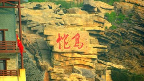 Why are there so many snakes on Dalian Snake Island? Less than 1 square kilometer, where about 20,000 snakes hide.