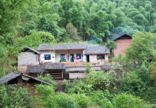 The Longevity Village is hidden deep in mountains of Anhui, it is said to be protected by "dragon vein", and tourists from all over world come here to recuperate.
