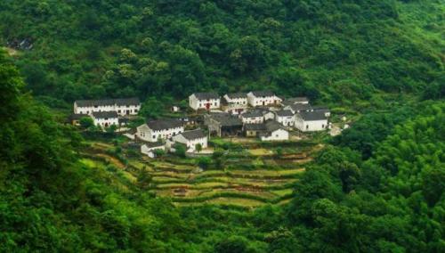 The Longevity Village is hidden deep in mountains of Anhui, it is said to be protected by "dragon vein", and tourists from all over world come here to recuperate.