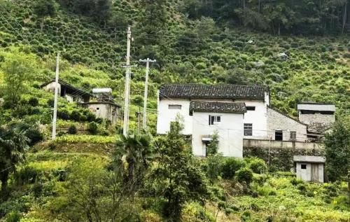 The Longevity Village is hidden deep in mountains of Anhui, it is said to be protected by "dragon vein", and tourists from all over world come here to recuperate.