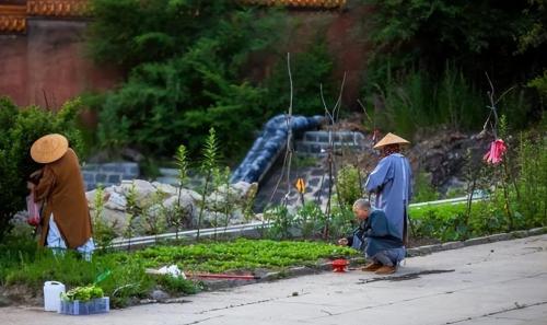 "Clean" monastic temple in northeast China: no tourism, no tickets, go for alms at a certain time every year