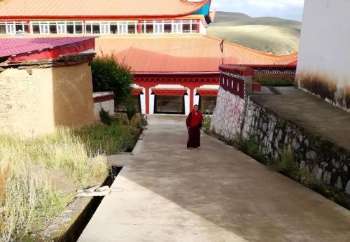 "Clean" monastic temple in northeast China: no tourism, no tickets, go for alms at a certain time every year