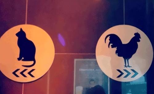"Elephants and giraffes, Qian and Kun", how to distinguish these signs of toilet, if you do not understand, you can only remain silent
