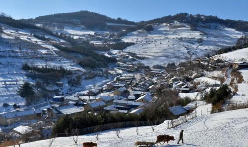 A small village in mountains of Jilin is full of people from Shandong who miss their hometown but cannot return.