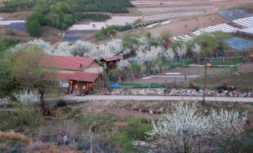 A small village in mountains of Jilin is full of people from Shandong who miss their hometown but cannot return.