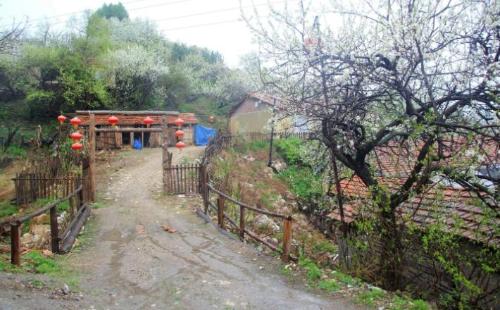 A small village in mountains of Jilin is full of people from Shandong who miss their hometown but cannot return.