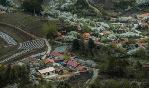 A small village in mountains of Jilin is full of people from Shandong who miss their hometown but cannot return.