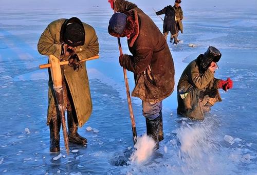 300,000 water legs in one network! Frosts for 130 days a year, winter fishing on Lake Chagan: is it really a bathing fish?
