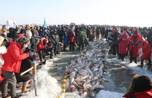 300,000 water legs in one network! Frosts for 130 days a year, winter fishing on Lake Chagan: is it really a bathing fish?
