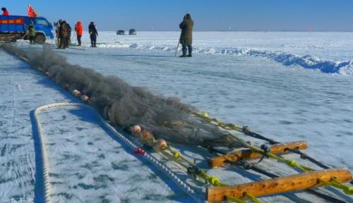 300,000 water legs in one network! Frosts for 130 days a year, winter fishing on Lake Chagan: is it really a bathing fish?
