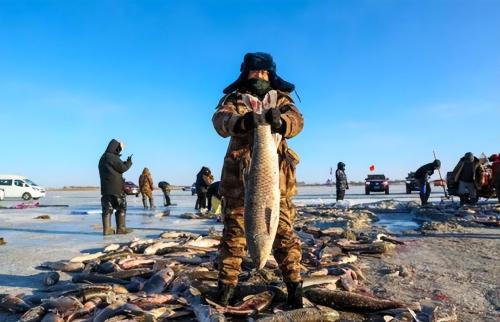 300,000 water legs in one network! Frosts for 130 days a year, winter fishing on Lake Chagan: is it really a bathing fish?
