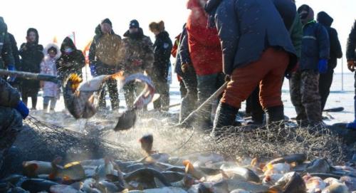 300,000 water legs in one network! Frosts for 130 days a year, winter fishing on Lake Chagan: is it really a bathing fish?

