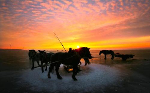 300,000 water legs in one network! Frosts for 130 days a year, winter fishing on Lake Chagan: is it really a bathing fish?
