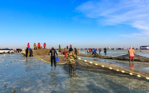 300,000 water legs in one network! Frosts for 130 days a year, winter fishing on Lake Chagan: is it really a bathing fish?
