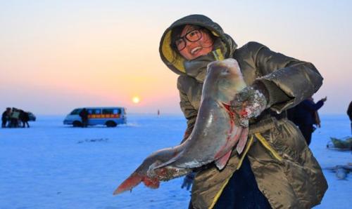 300,000 water legs in one network! Frosts for 130 days a year, winter fishing on Lake Chagan: is it really a bathing fish?
