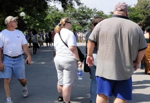 In developed countries with fattest population, obese population is expected to reach 75%. Tourists: there are a lot of fat people on streets