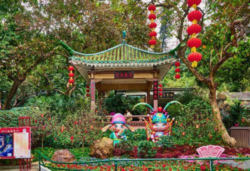 China's only Cantonese-speaking "Tier City" is becoming official and becoming less and less popular.
