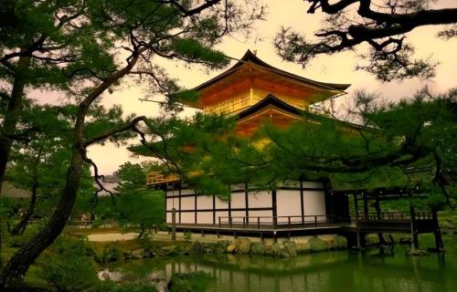 Why do Japanese people have a habit of taking off their shoes when entering a house? What to do if someone's feet smell bad?
