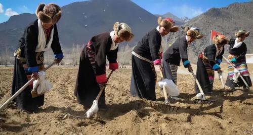 In some ancient villages of Tibet, "polyandry" is still practiced, but they get along very harmoniously.