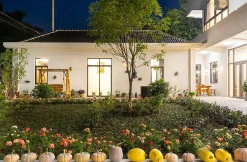Why is homestaying becoming more and more “tasteless”? Tourists complain: after one time you don’t want to do it anymore
