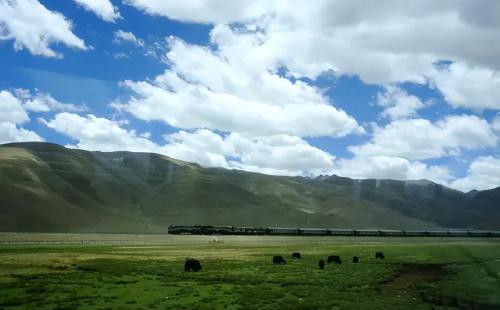 There is a "slow train" from Shanghai to Lhasa that takes 46 hours and is hard to find.
