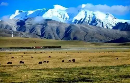 There is a "slow train" from Shanghai to Lhasa that takes 46 hours and is hard to find.