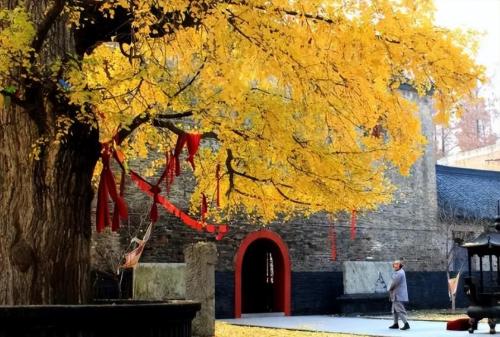 Zhejiang Guangde Temple can't enter hanfu? Became a "Japanese-style" temple? answered locally