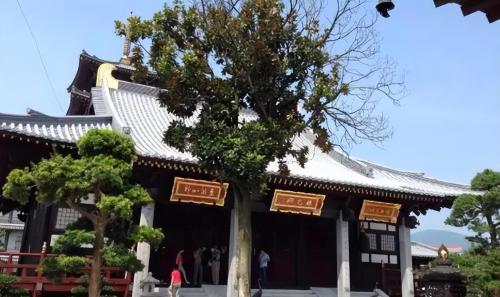 Zhejiang Guangde Temple can't enter hanfu? Became a "Japanese-style" temple? answered locally