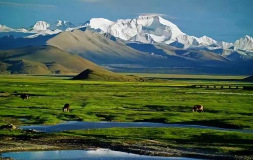 Strange phenomena occur in Qinghai-Tibet Plateau, and Antarctica turns blood red Scientists: there is no optimism
