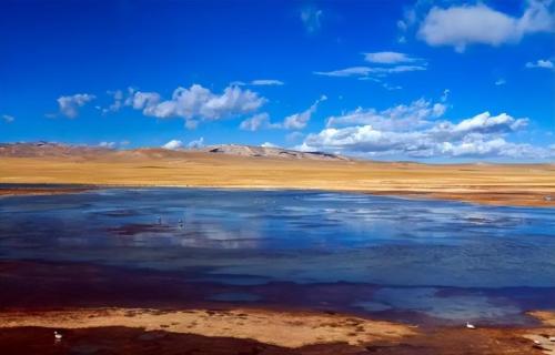 Strange phenomena occur in Qinghai-Tibet Plateau, and Antarctica turns blood red Scientists: there is no optimism
