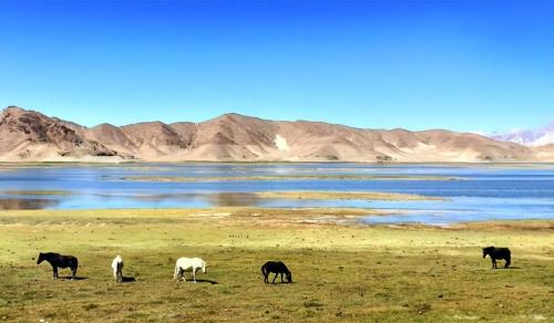 How many strategic mineral deposits are hidden in beautiful Qinghai-Tibet Plateau? Tibet becomes a blessed land of resources