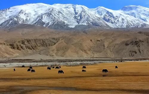 The border between Takxian County, Xinjiang and Afghanistan! The streets are full of blonde beauties, but few people know about them