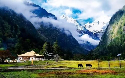 China's "mysterious" village: brothers marry wife, who is father of child?
