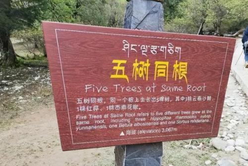 China's "mysterious" village: brothers marry wife, who is father of child?
