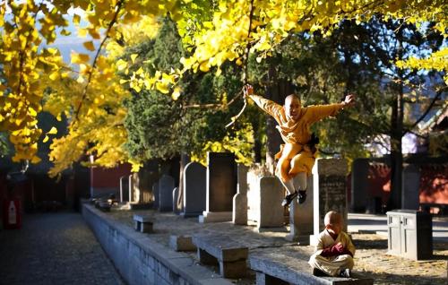 How beautiful is capital under cassock? Abbot Shi Yongxing bought land for 450 million yuan and owns 18 companies
