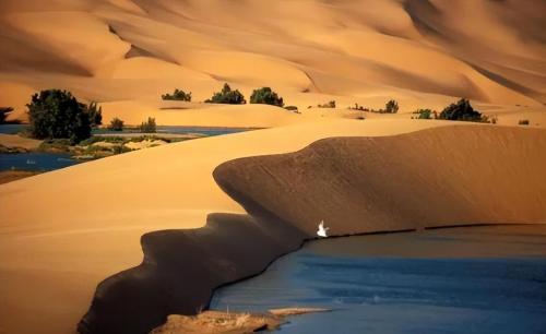 How deep is Takla Makan Desert? If you dig up all the sand, what's under it?