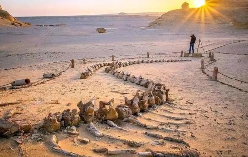 How deep is Takla Makan Desert? If you dig up all the sand, what's under it?