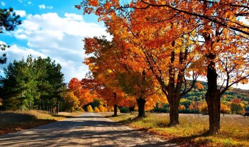 It's time for southerners to envy northerners again! See how northerners rejoice in winter