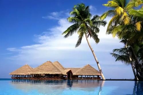 It's time for southerners to envy northerners again! See how northerners rejoice in winter