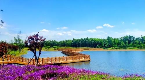 The cleanest city in China, with beautiful nature, warm in winter and cool in summer, many people choose to retire here.