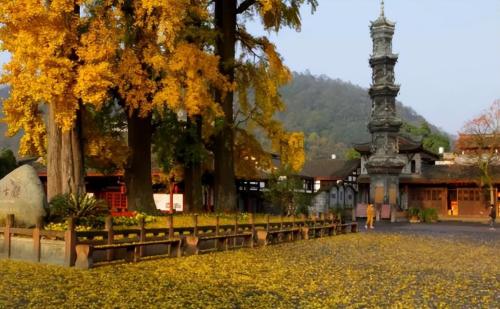 The cleanest city in China, with beautiful nature, warm in winter and cool in summer, many people choose to retire here.